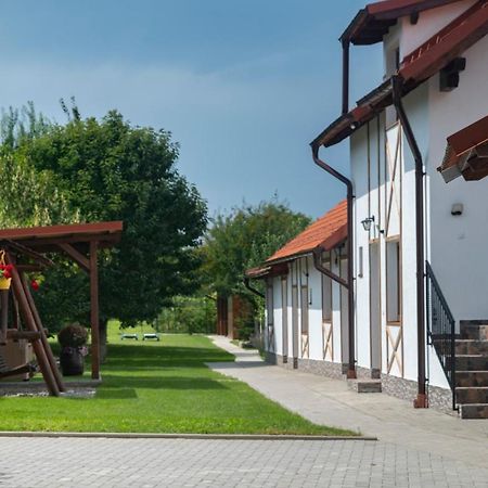 Magda Garden Hotell Cîrţişoara Exteriör bild