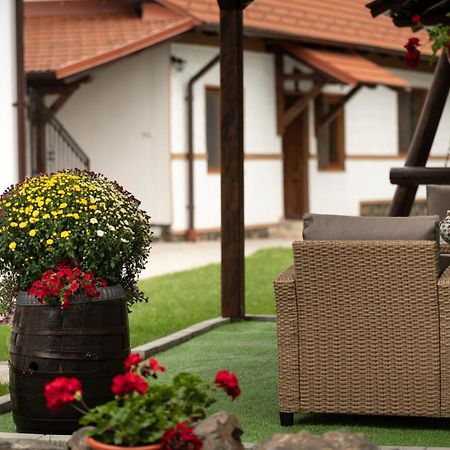 Magda Garden Hotell Cîrţişoara Exteriör bild