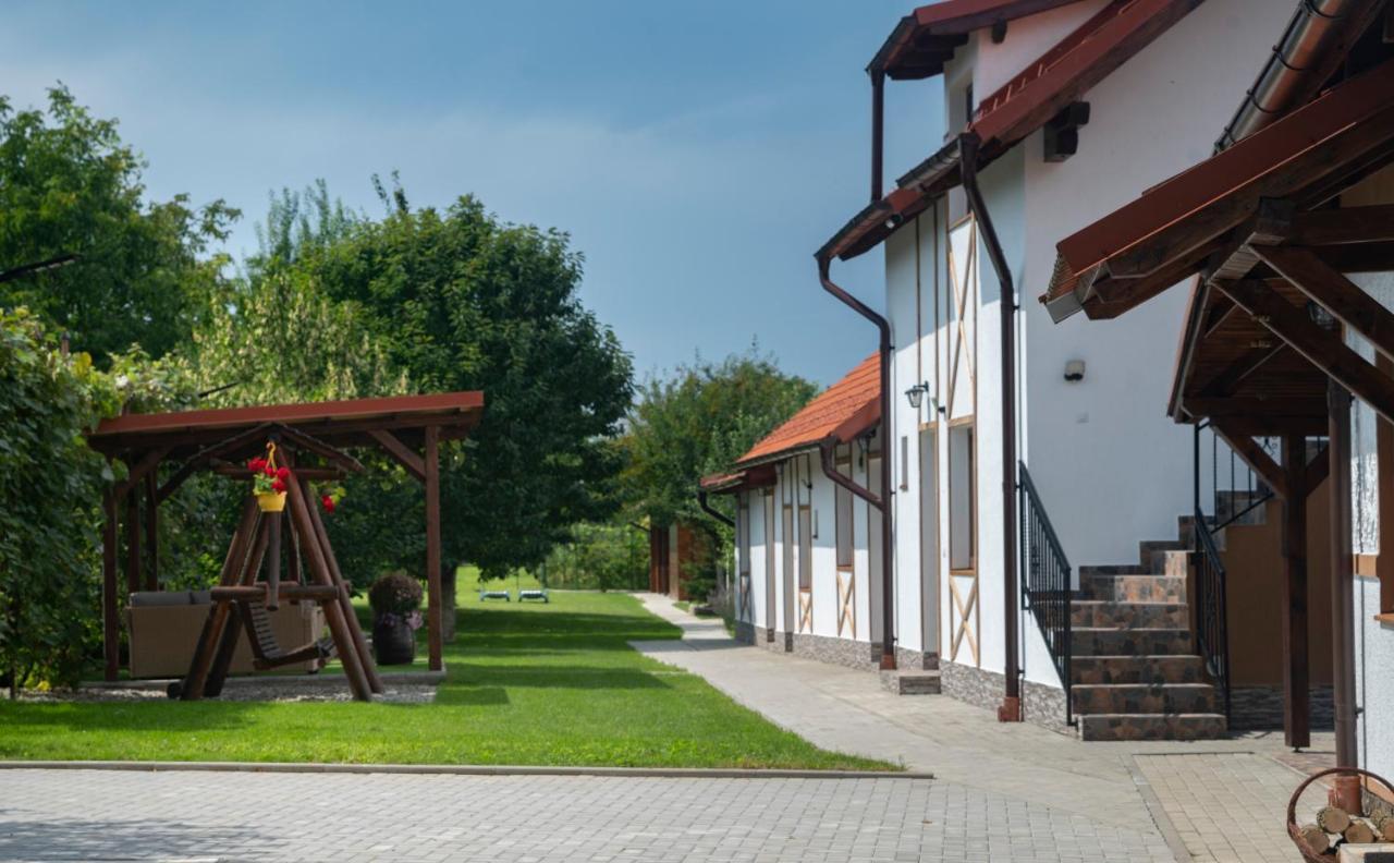 Magda Garden Hotell Cîrţişoara Exteriör bild