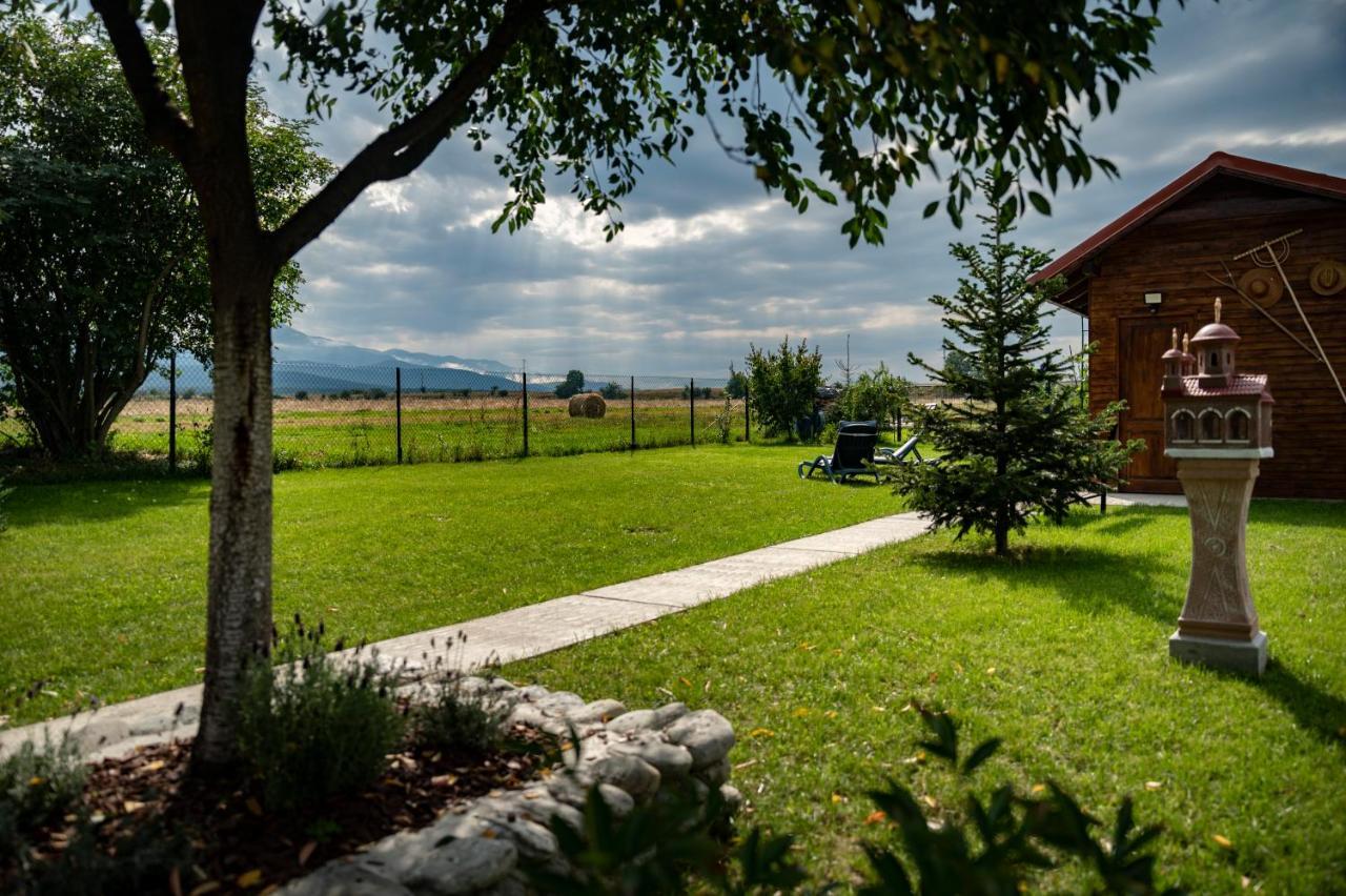 Magda Garden Hotell Cîrţişoara Exteriör bild