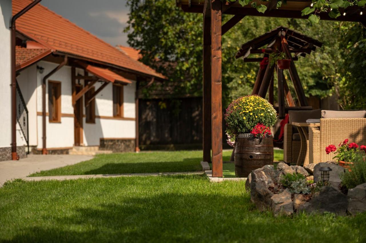 Magda Garden Hotell Cîrţişoara Exteriör bild