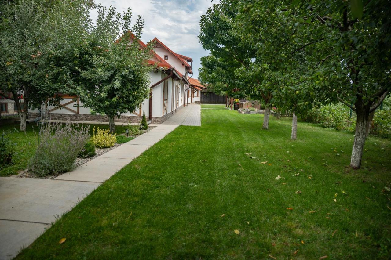 Magda Garden Hotell Cîrţişoara Exteriör bild