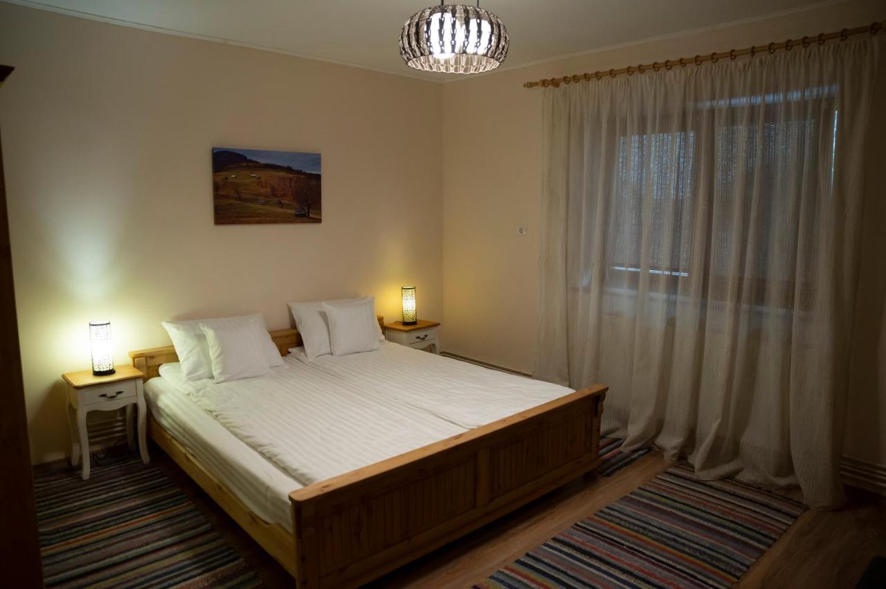 Magda Garden Hotell Cîrţişoara Exteriör bild
