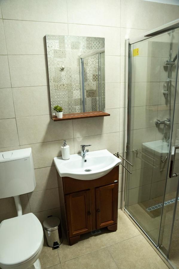 Magda Garden Hotell Cîrţişoara Exteriör bild