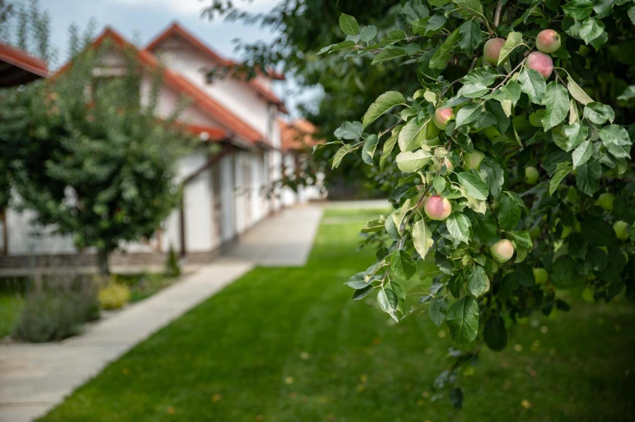 Magda Garden Hotell Cîrţişoara Exteriör bild