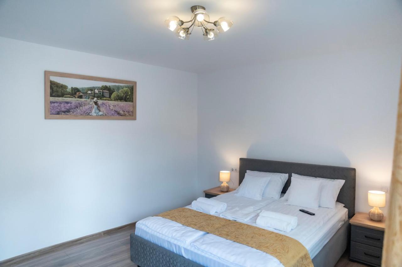 Magda Garden Hotell Cîrţişoara Exteriör bild